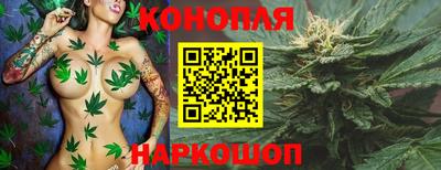 Альфа ПВП Абакан