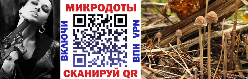 hydra tor  Алексин  Галлюциногенные грибы мухоморы 
