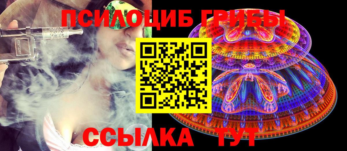 Псилоцибиновые грибы MAGIC MUSHROOMS Алексин