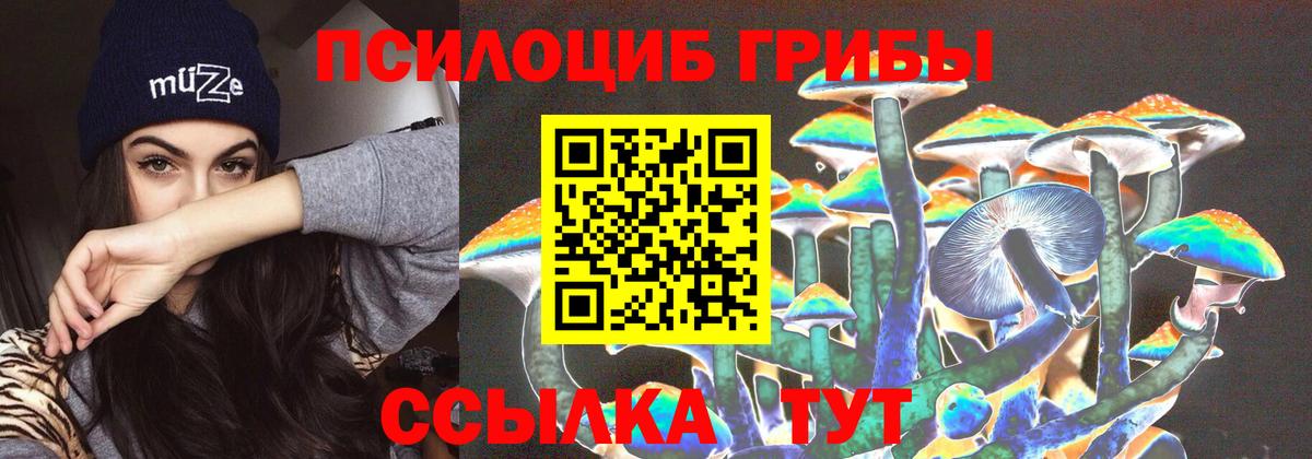 Псилоцибиновые грибы прущие грибы  Алексин 